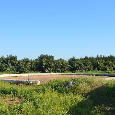 Quinta Das Figueiras Vila Nova de Cacela Eksteriør billede
