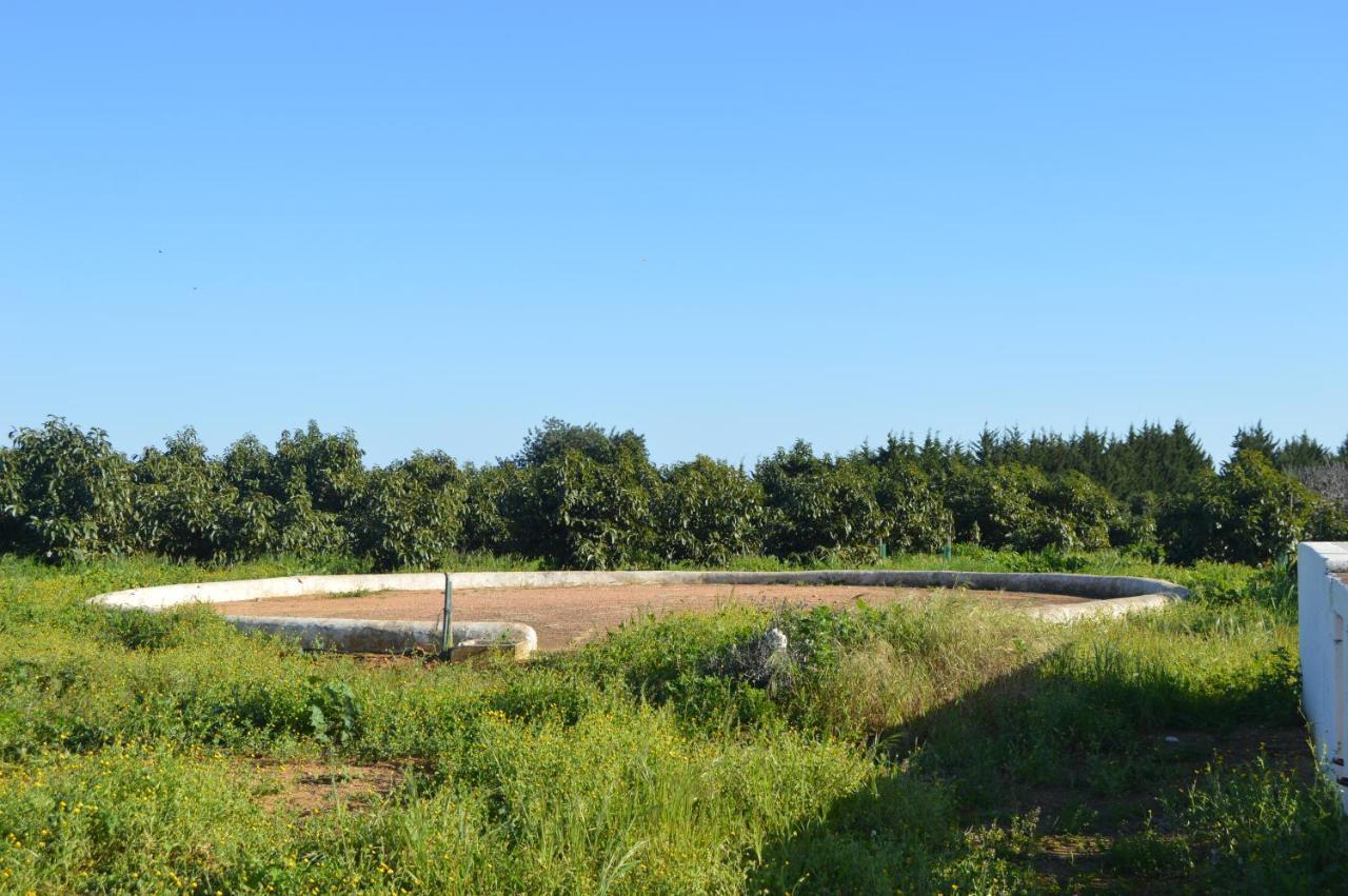 Quinta Das Figueiras Vila Nova de Cacela Eksteriør billede